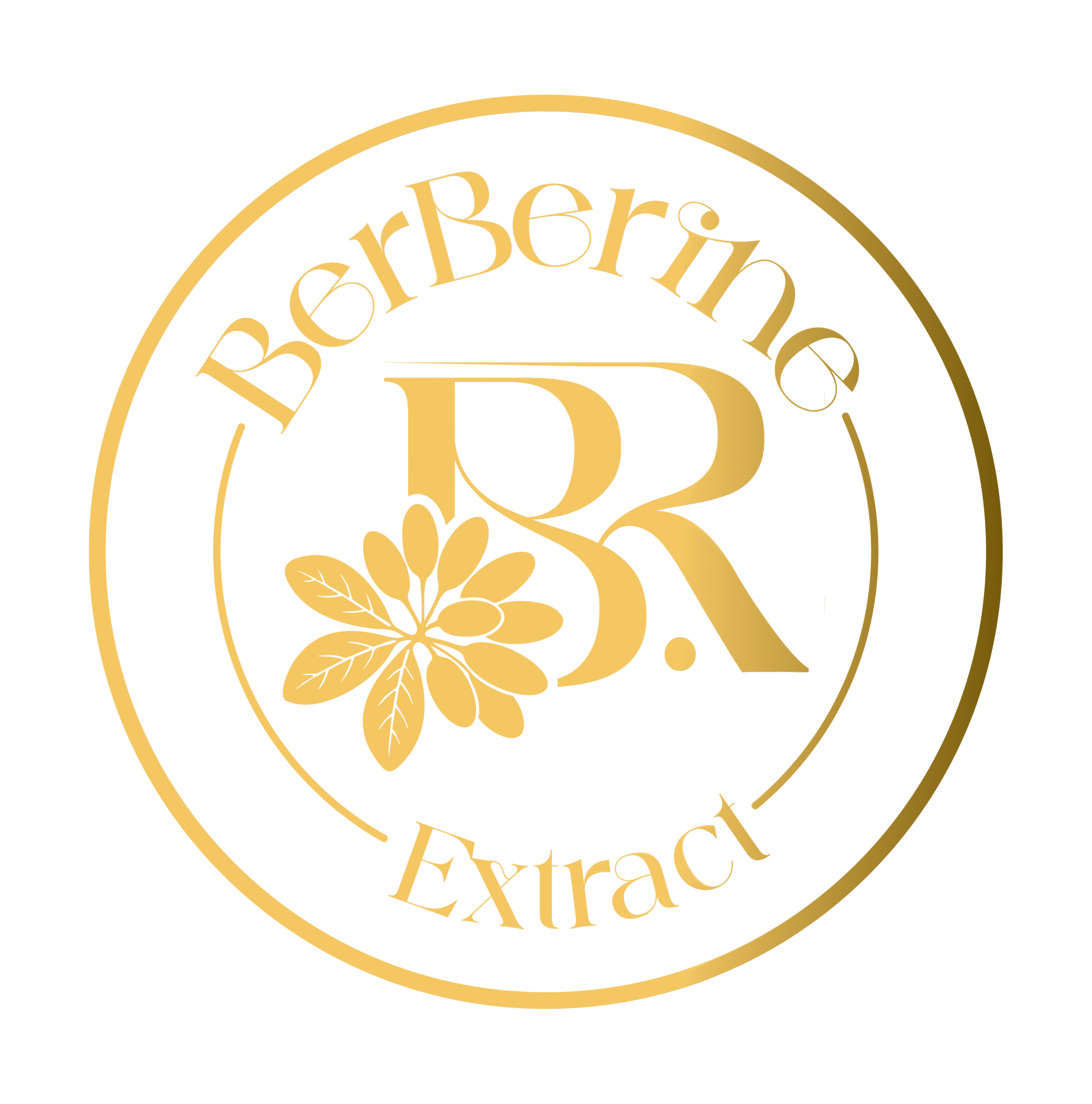 logo varitions ss 09